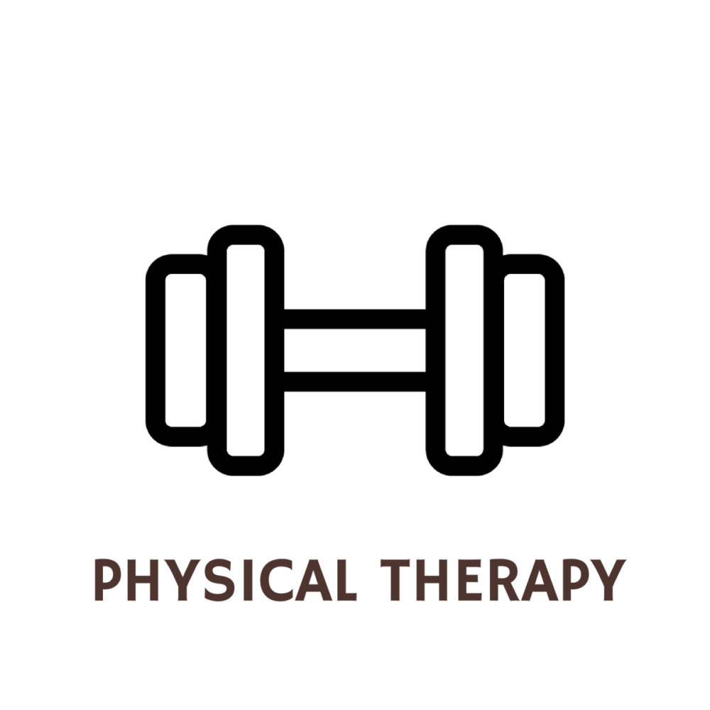 what-can-i-do-with-a-degree-in-physical-therapy-degreequery