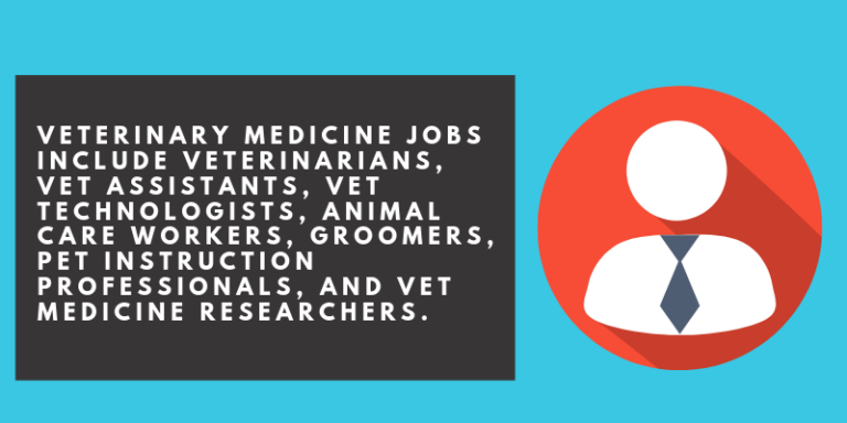 what-can-i-do-with-a-veterinary-medicine-degree-degreequery